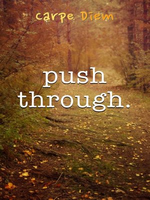 cover image of Push Through